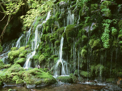 �V�j�A�n�N���o��n�ŗ��l�T���ăZ�t���ƃZ�b�N�X�����b�I